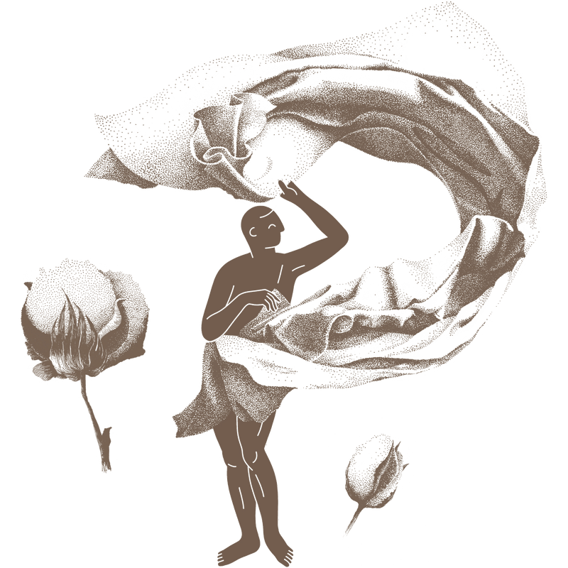 Ägyptische Baumwolle Bettwäsche von Amqua – hochwertige, feine Fasern für maximalen Komfort.
