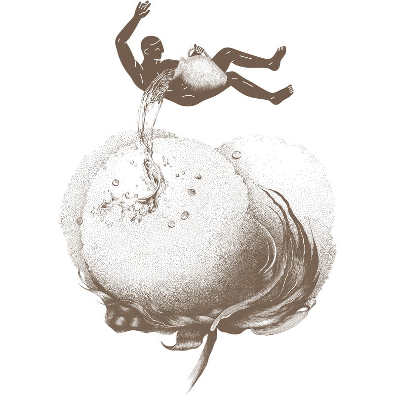 Ägyptische Baumwolle Bettwäsche von Amqua – hochwertige, feine Fasern für maximalen Komfort.
